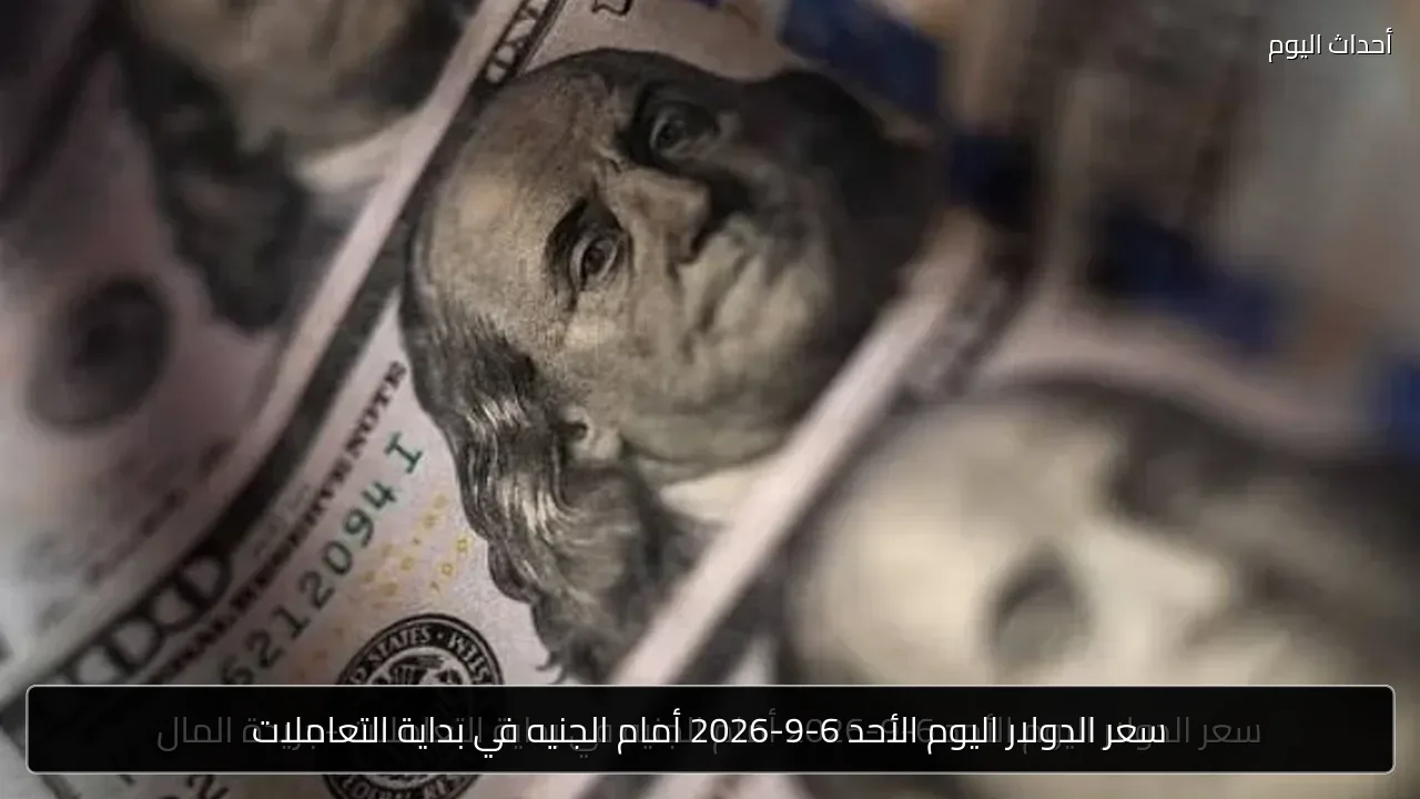 سعر الدولار اليوم الأحد 6-9-2026 أمام الجنيه في بداية التعاملات