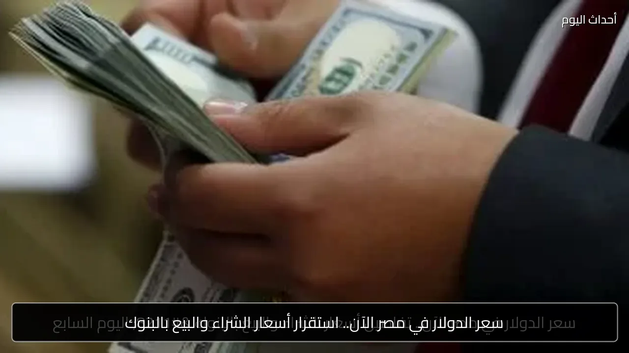 سعر الدولار في مصر الآن.. استقرار أسعار الشراء والبيع بالبنوك