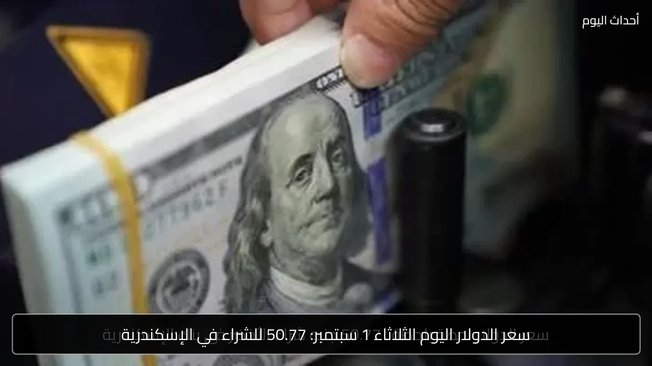 سعر الدولار اليوم الثلاثاء 1 سبتمبر: 50.77 للشراء في الإسكندرية
