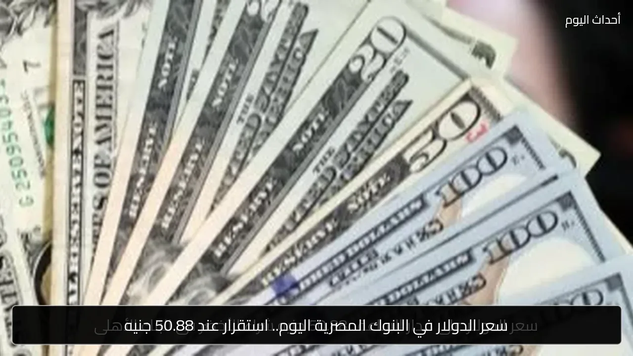 سعر الدولار في البنوك المصرية اليوم.. استقرار عند 50.88 جنيه