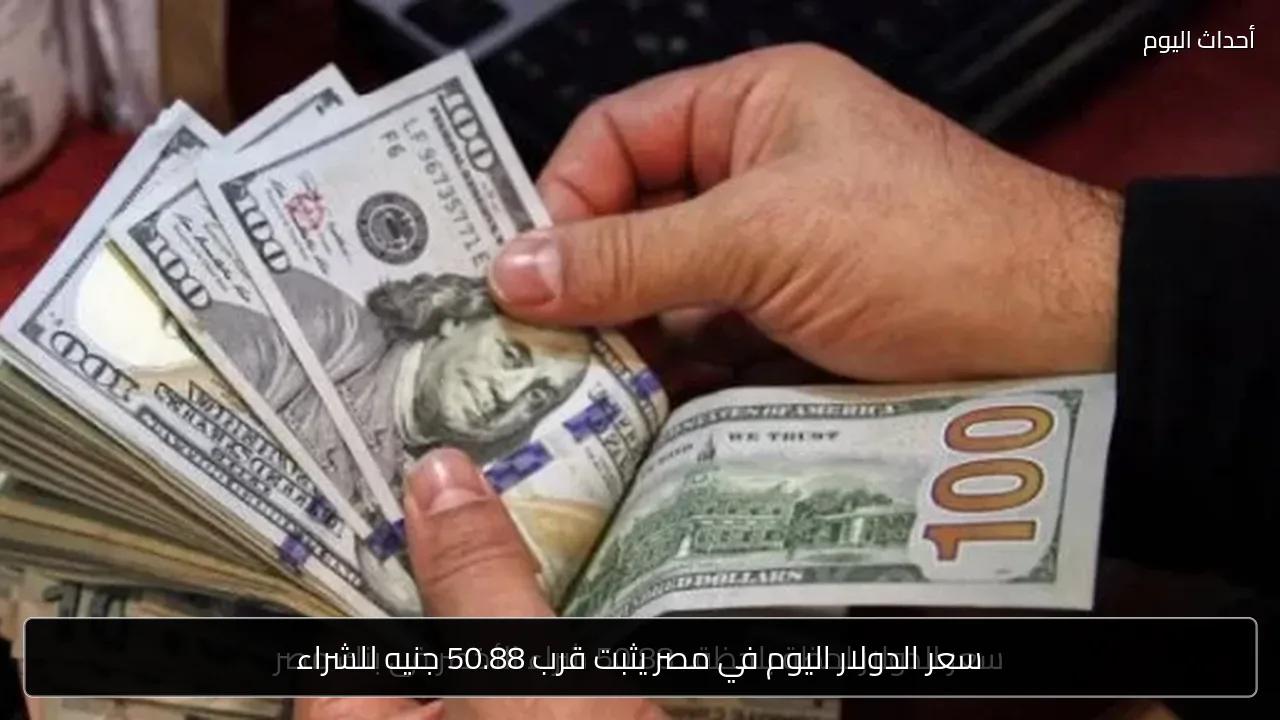 سعر الدولار اليوم في مصر يثبت قرب 50.88 جنيه للشراء