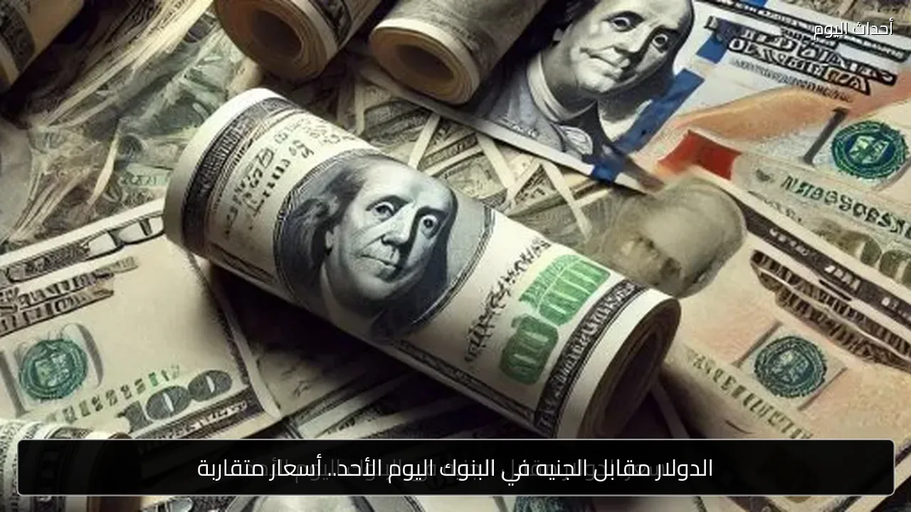 الدولار مقابل الجنيه في البنوك اليوم الأحد.. أسعار متقاربة