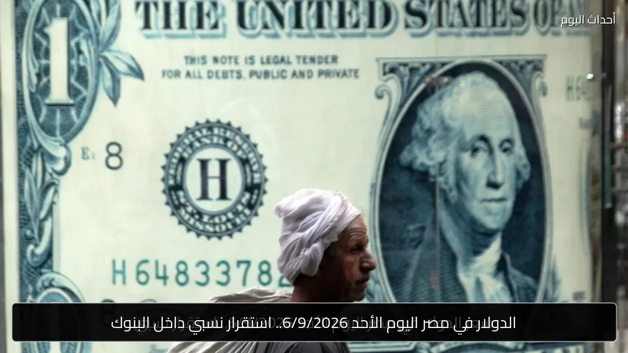 الدولار في مصر اليوم الأحد 6/9/2026.. استقرار نسبي داخل البنوك