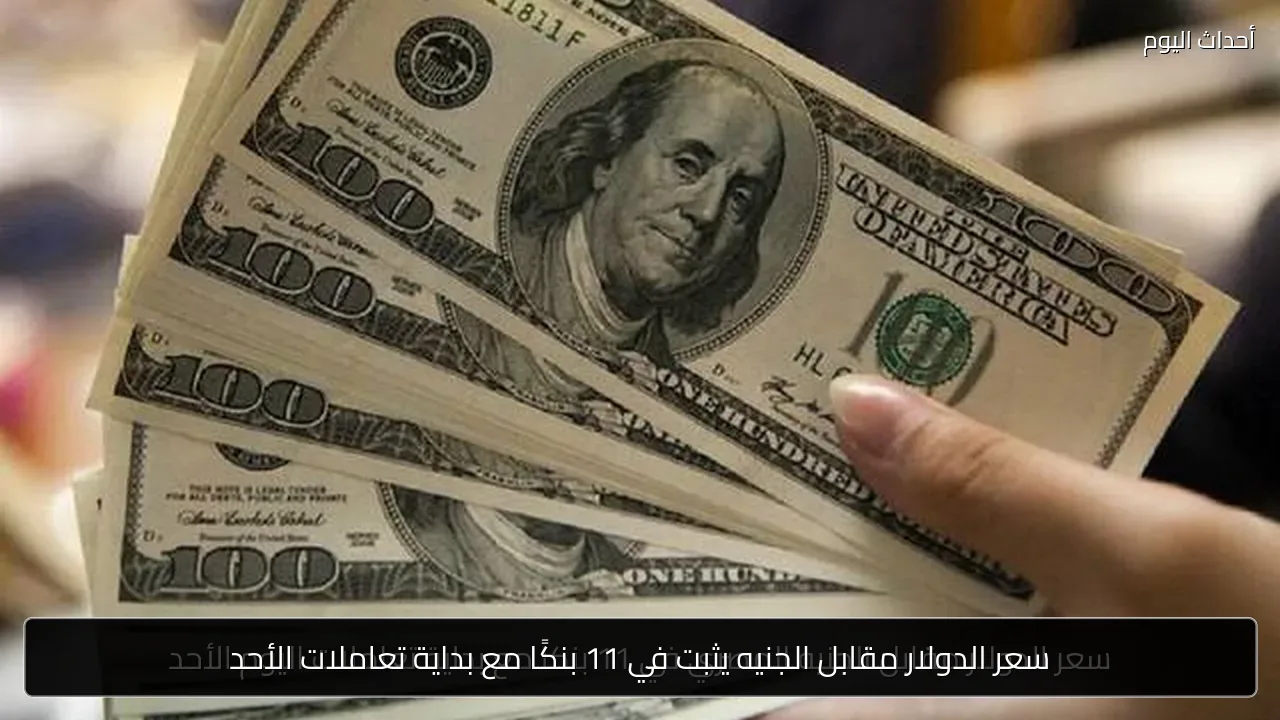 سعر الدولار مقابل الجنيه يثبت في 11 بنكًا مع بداية تعاملات الأحد