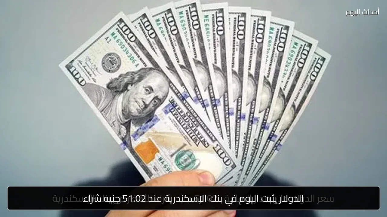 الدولار يثبت اليوم في بنك الإسكندرية عند 51.02 جنيه شراء