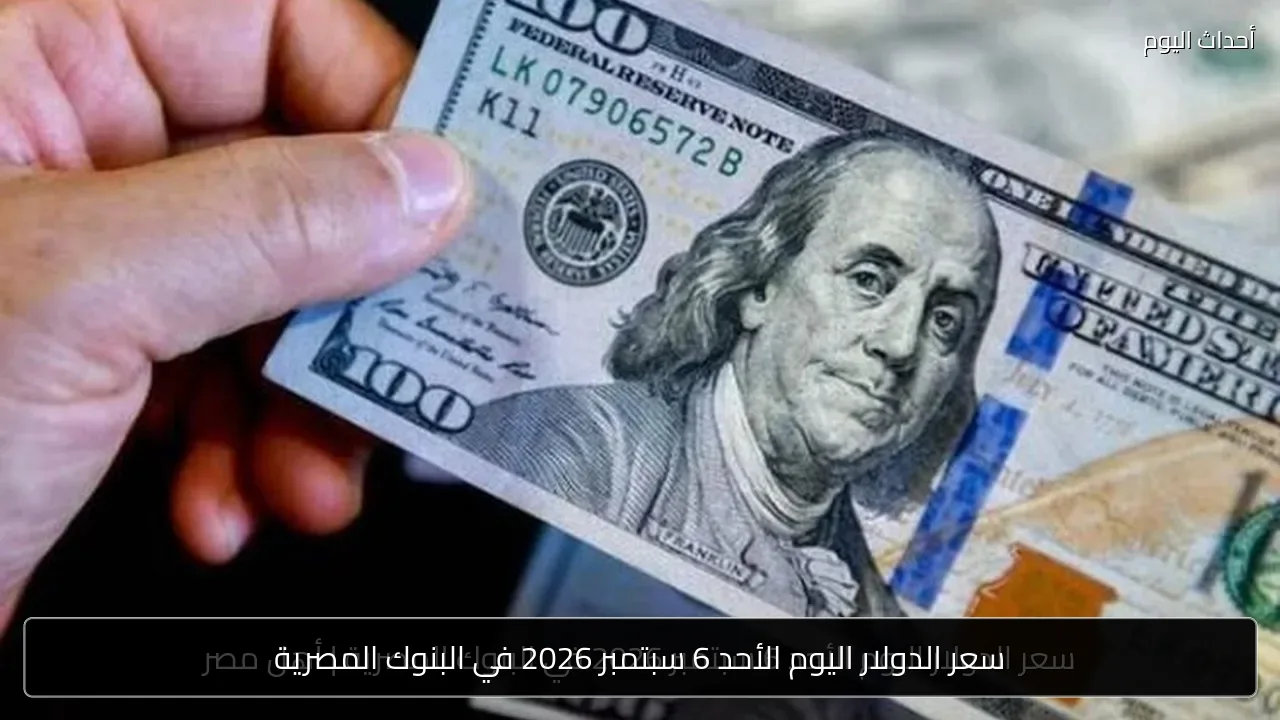 سعر الدولار اليوم الأحد 6 سبتمبر 2026 في البنوك المصرية