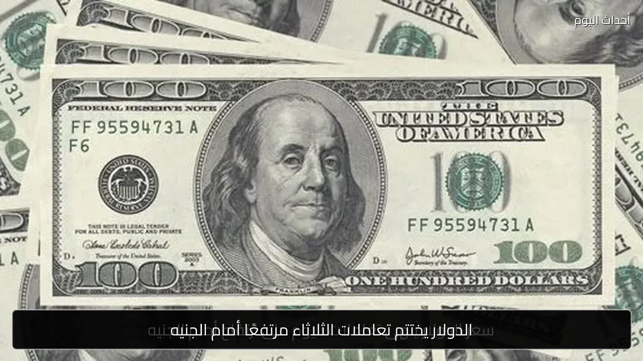 الدولار يختتم تعاملات الثلاثاء مرتفعًا أمام الجنيه