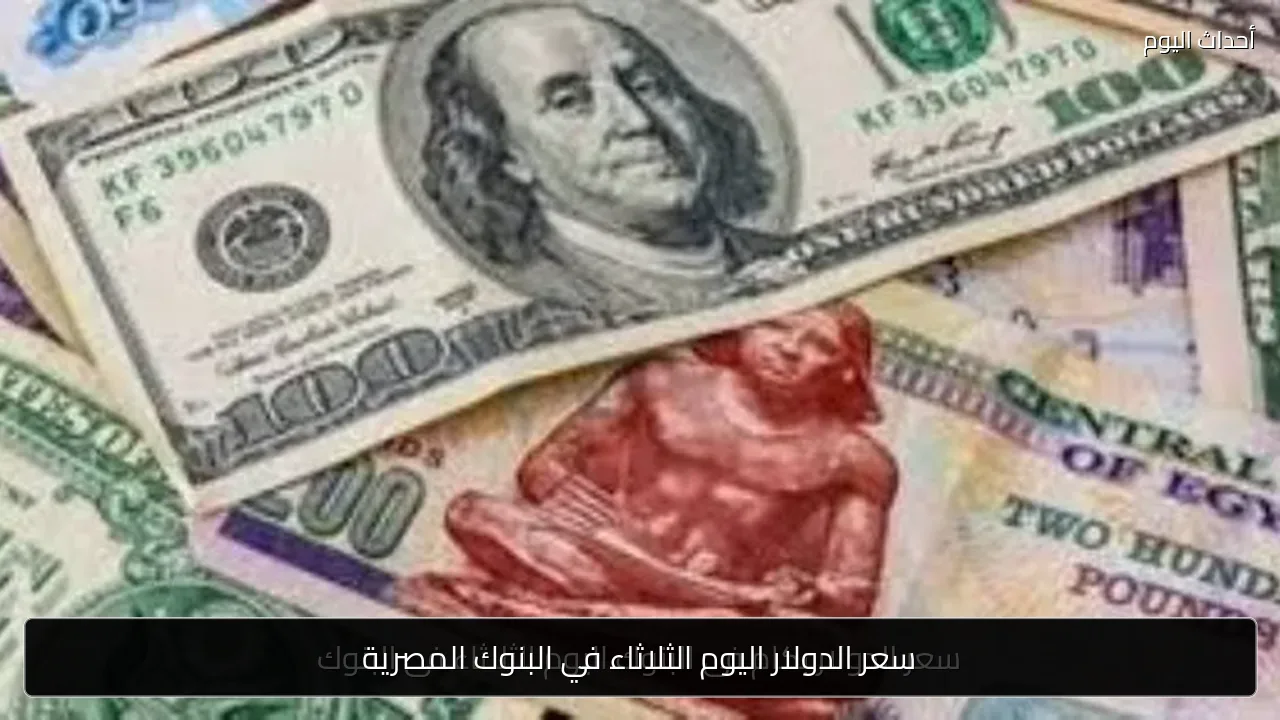 سعر الدولار اليوم الثلاثاء في البنوك المصرية