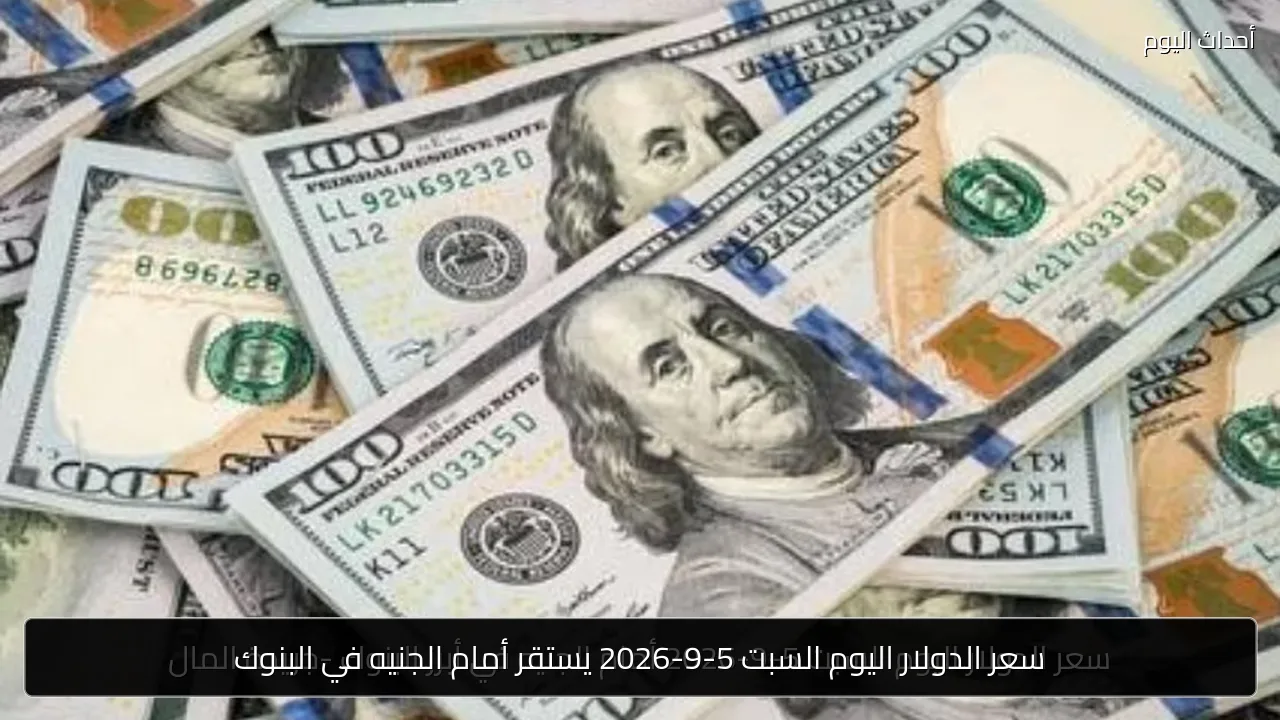 سعر الدولار اليوم السبت 5-9-2026 يستقر أمام الجنيه في البنوك