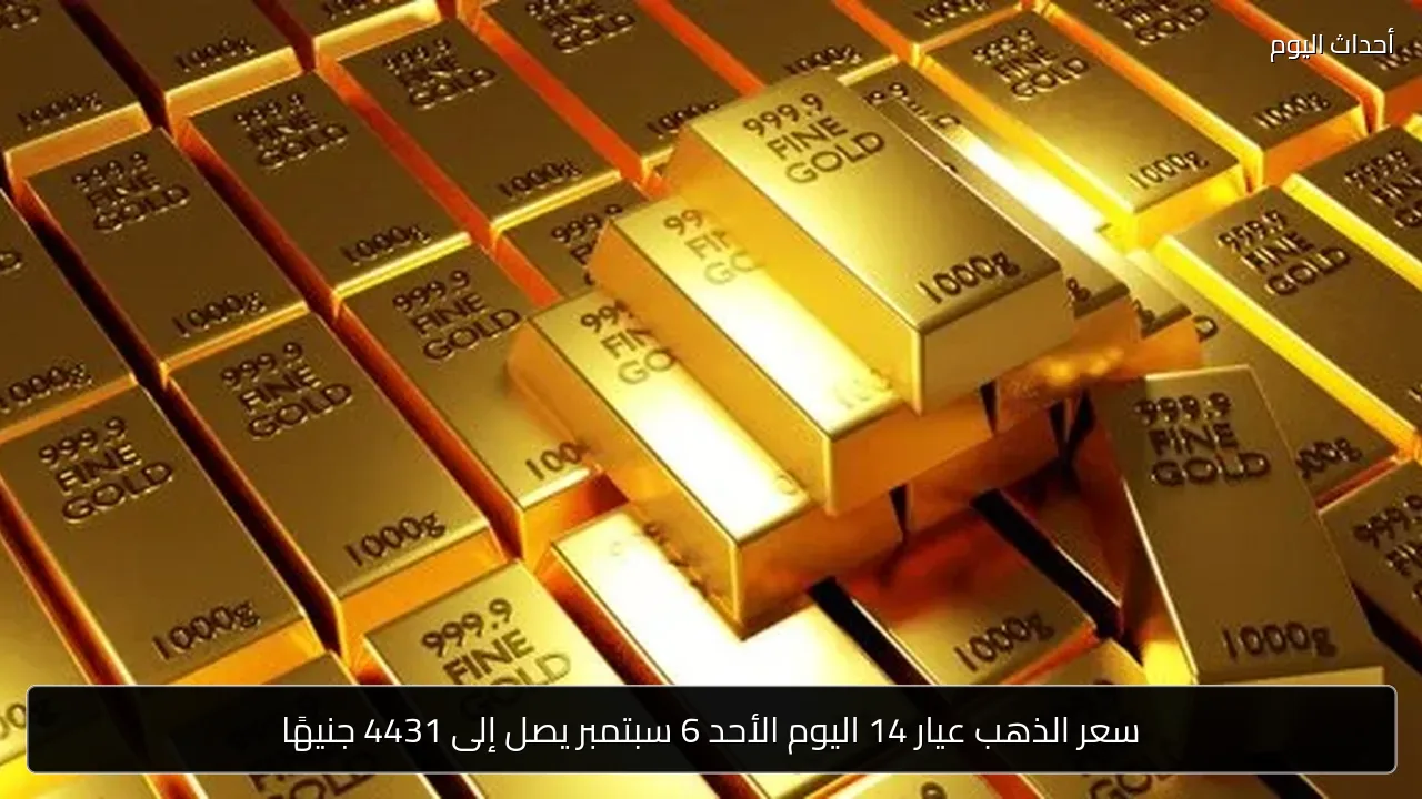سعر الذهب عيار 14 اليوم الأحد 6 سبتمبر يصل إلى 4431 جنيهًا