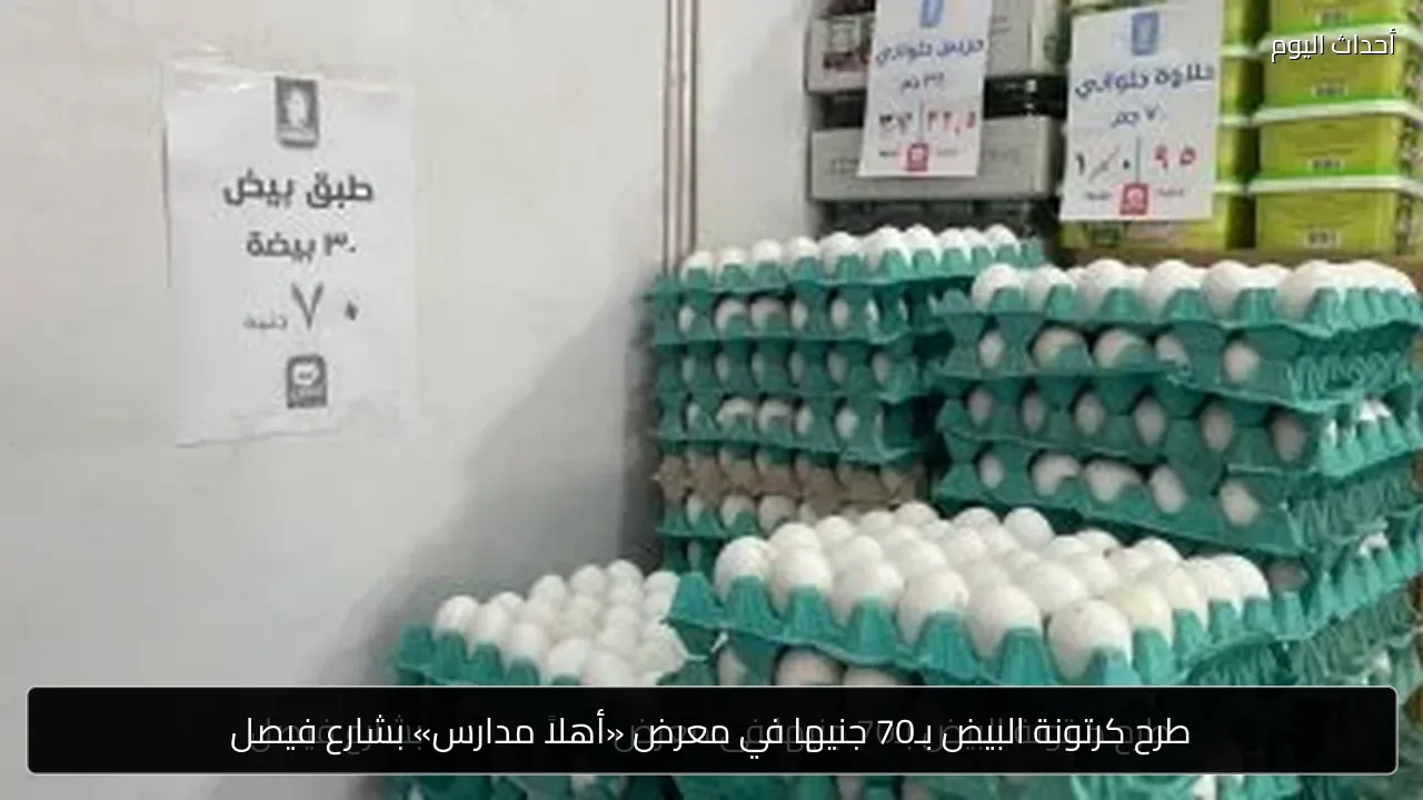 طرح كرتونة البيض بـ70 جنيها في معرض «أهلا مدارس» بشارع فيصل