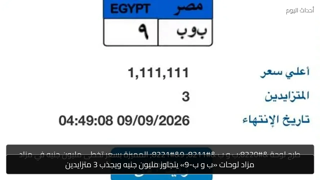 مزاد لوحات «ب و ب-9» يتجاوز مليون جنيه ويجذب 3 متزايدين