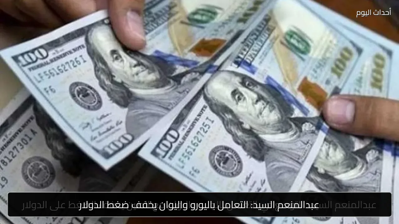 عبدالمنعم السيد: التعامل باليورو واليوان يخفف ضغط الدولار
