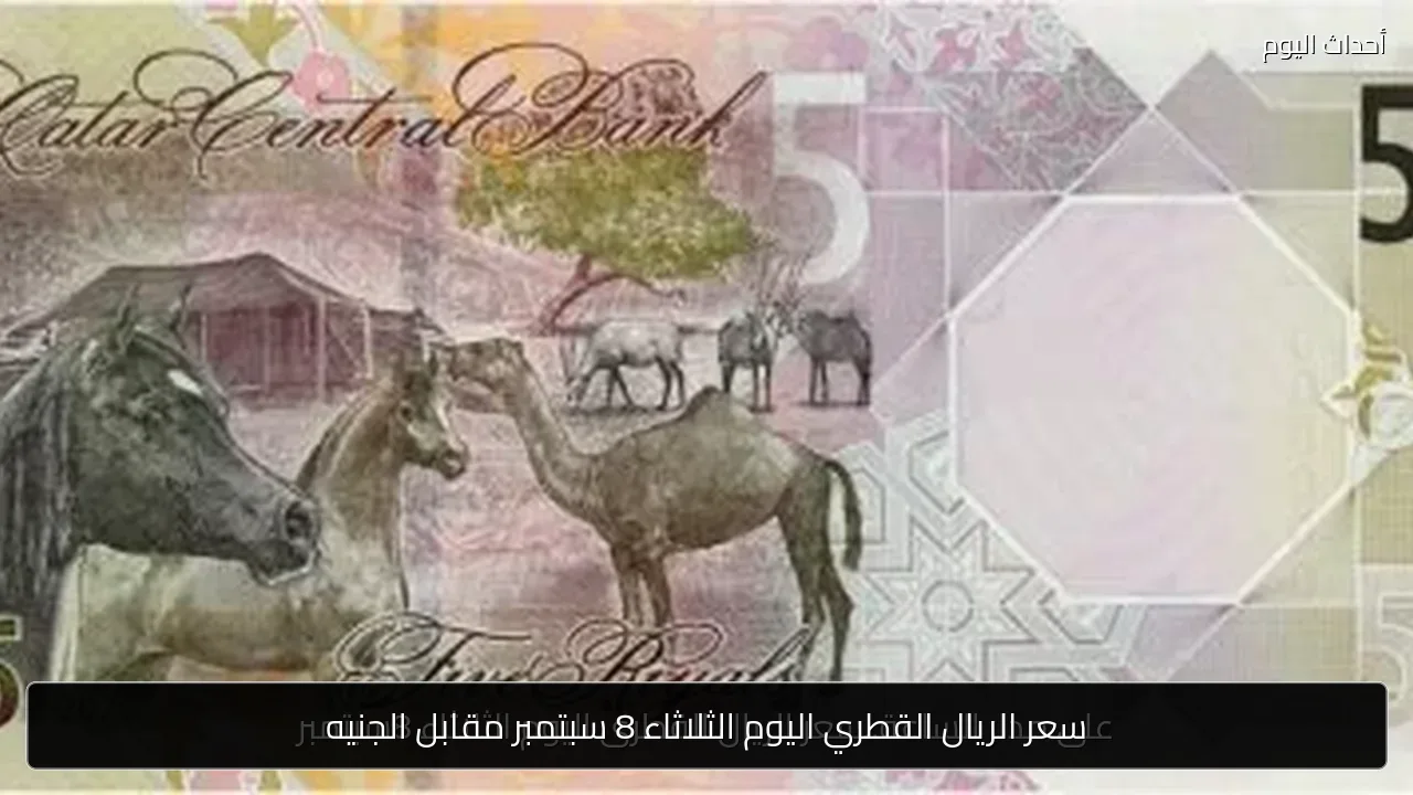 سعر الريال القطري اليوم الثلاثاء 8 سبتمبر مقابل الجنيه