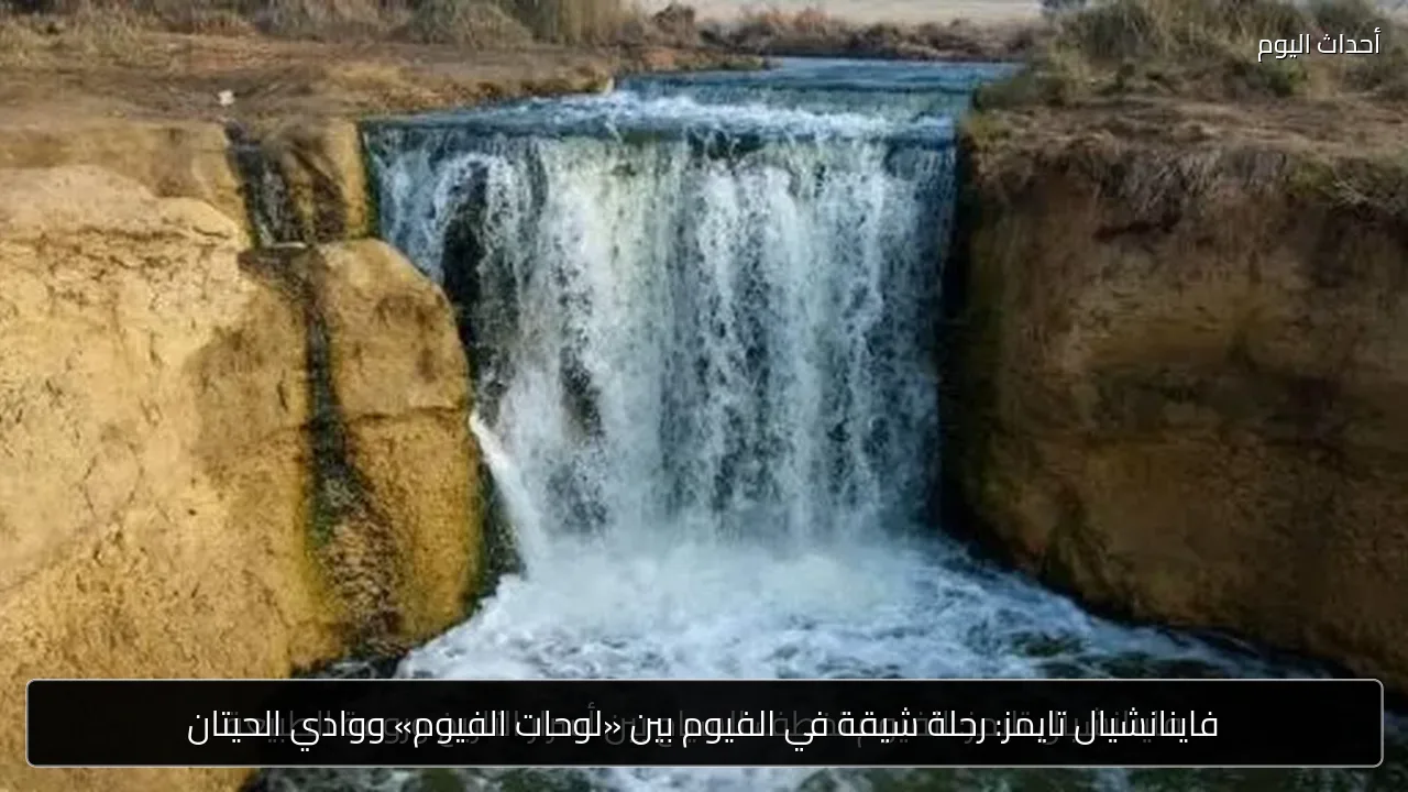 فاينانشيال تايمز: رحلة شيقة في الفيوم بين «لوحات الفيوم» ووادي الحيتان