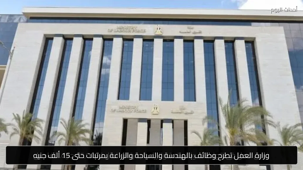 وزارة العمل تطرح وظائف بالهندسة والسياحة والزراعة بمرتبات حتى 15 ألف جنيه