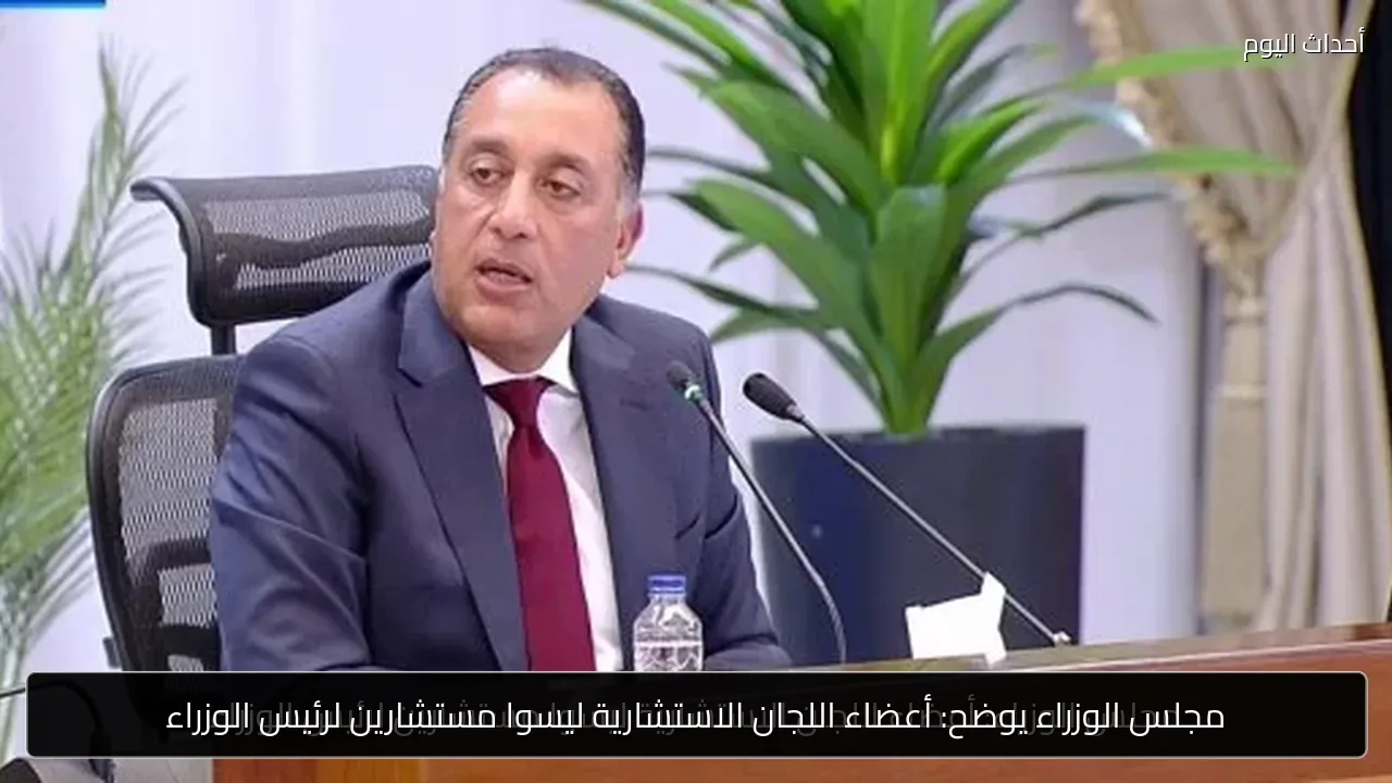 مجلس الوزراء يوضح: أعضاء اللجان الاستشارية ليسوا مستشارين لرئيس الوزراء