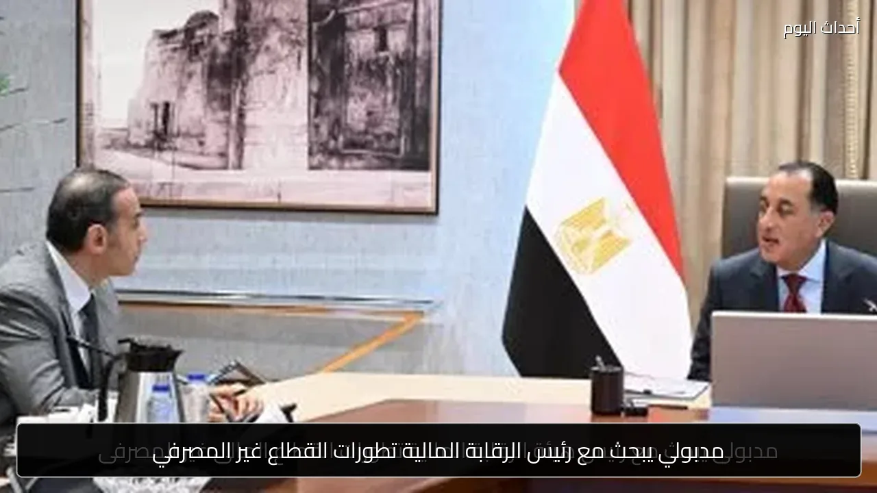 مدبولي يبحث مع رئيس الرقابة المالية تطورات القطاع غير المصرفي