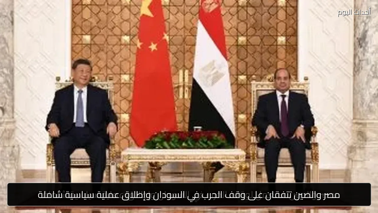 مصر والصين تتفقان على وقف الحرب في السودان وإطلاق عملية سياسية شاملة