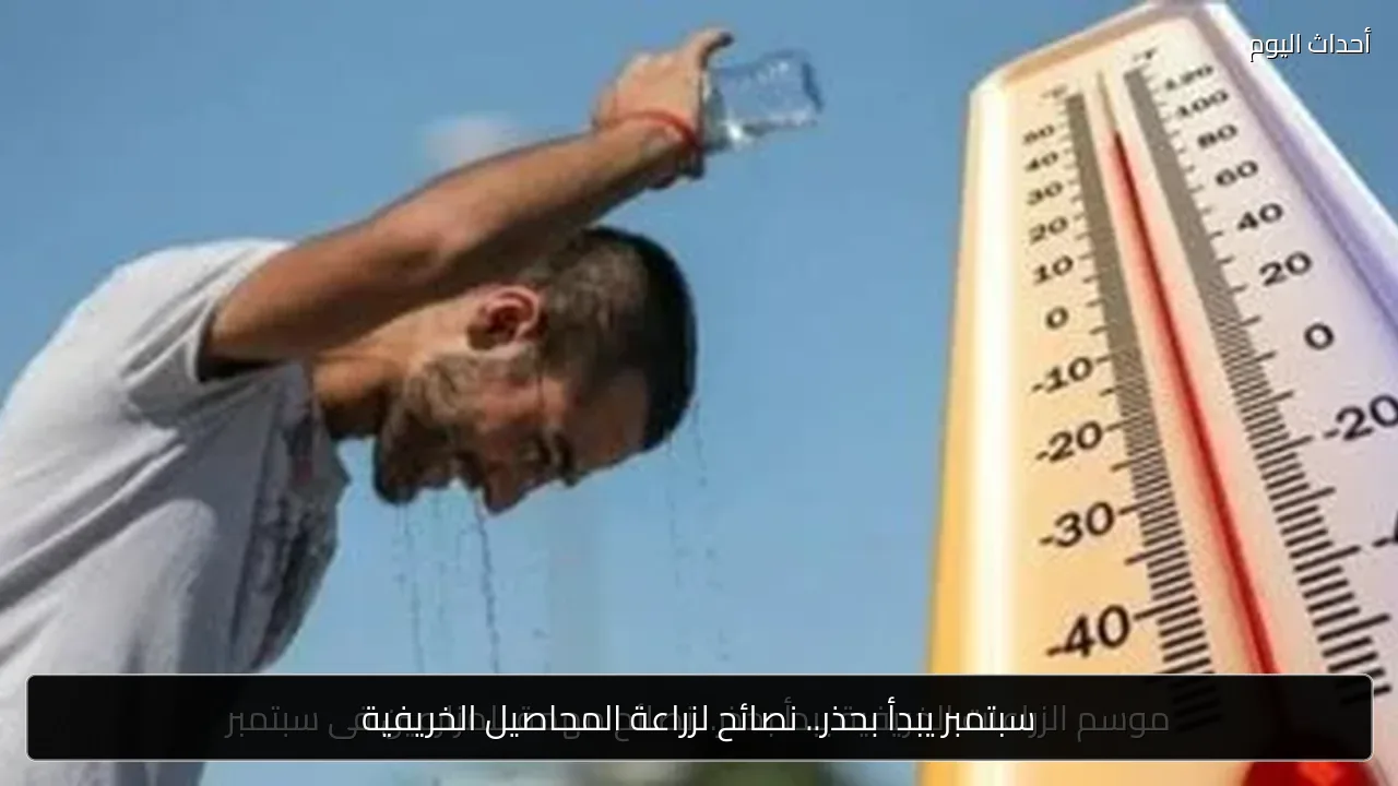 سبتمبر يبدأ بحذر.. نصائح لزراعة المحاصيل الخريفية