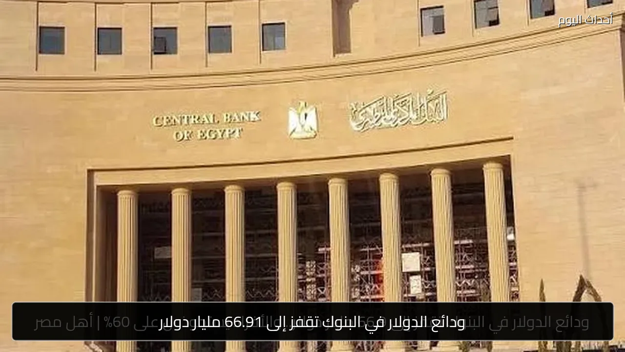 ودائع الدولار في البنوك تقفز إلى 66.91 مليار دولار