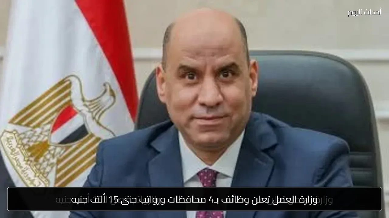 وزارة العمل تعلن وظائف بـ4 محافظات ورواتب حتى 15 ألف جنيه