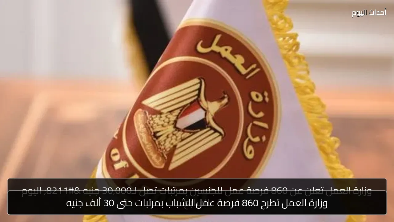 وزارة العمل تطرح 860 فرصة عمل للشباب بمرتبات حتى 30 ألف جنيه