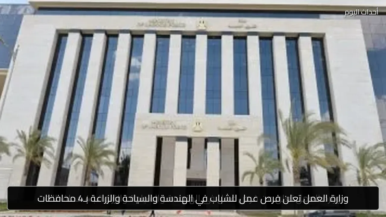 وزارة العمل تعلن فرص عمل للشباب في الهندسة والسياحة والزراعة بـ4 محافظات