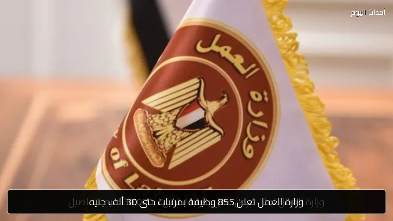 وزارة العمل تعلن 855 وظيفة بمرتبات حتى 30 ألف جنيه