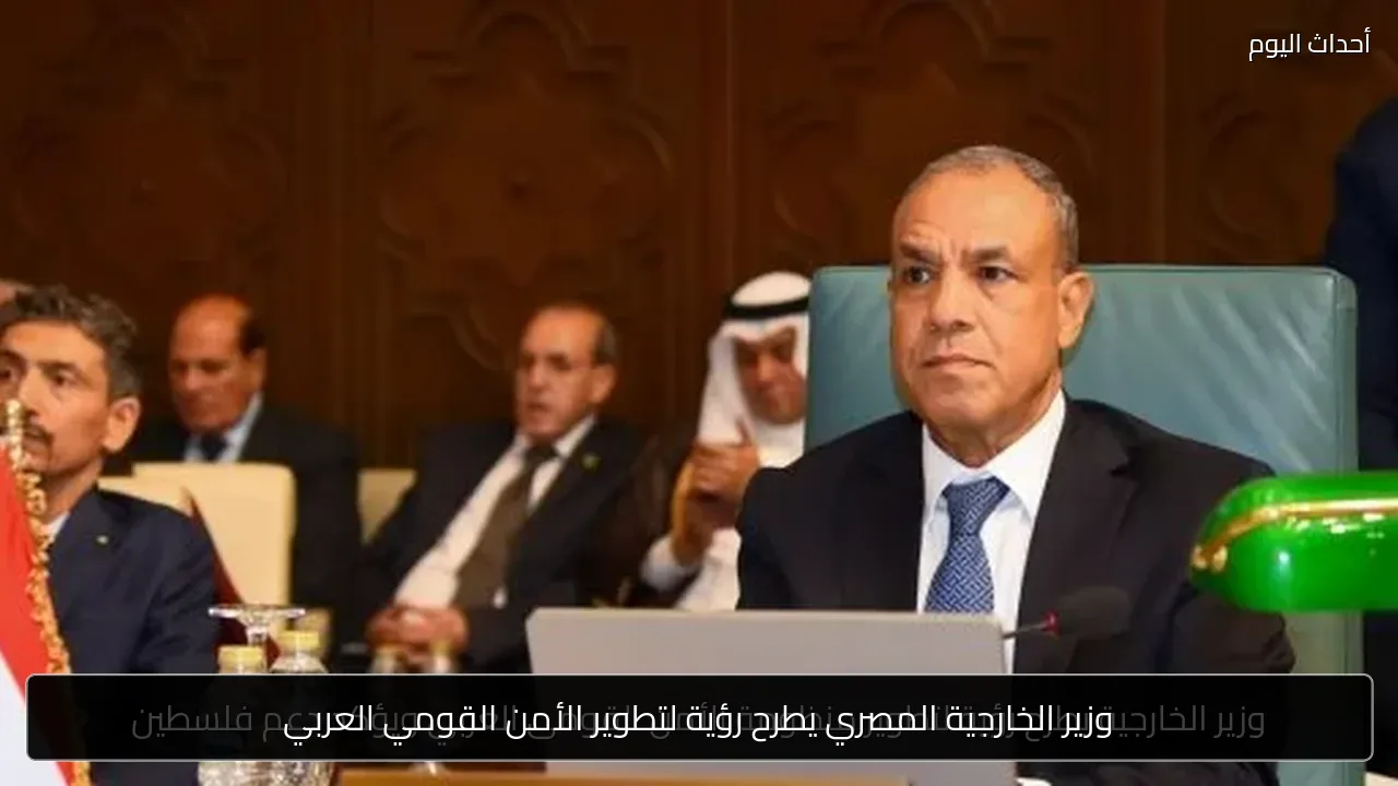 وزير الخارجية المصري يطرح رؤية لتطوير الأمن القومي العربي