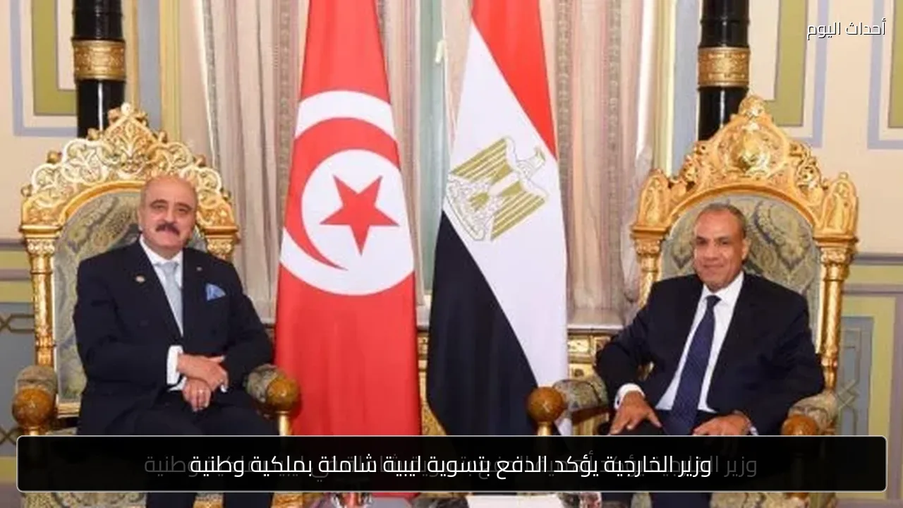 وزير الخارجية يؤكد الدفع بتسوية ليبية شاملة بملكية وطنية