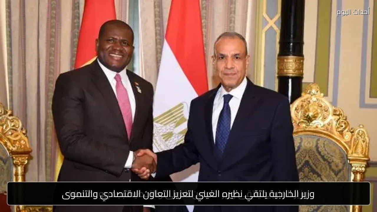 وزير الخارجية يلتقي نظيره الغيني لتعزيز التعاون الاقتصادي والتنموى