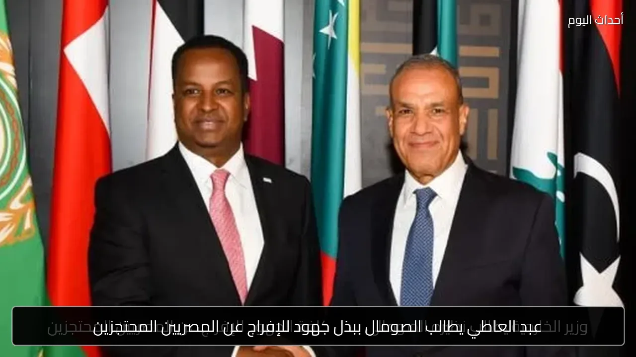 عبد العاطي يطالب الصومال ببذل جهود للإفراج عن المصريين المحتجزين