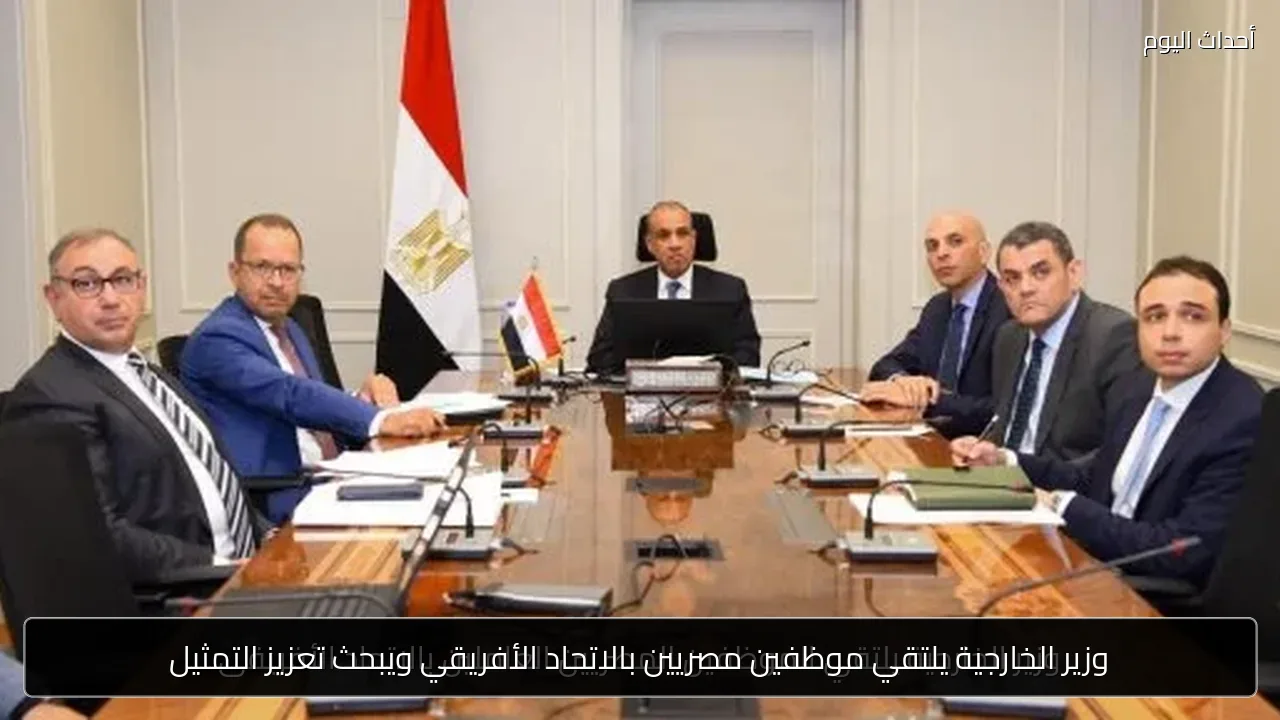 وزير الخارجية يلتقي موظفين مصريين بالاتحاد الأفريقي ويبحث تعزيز التمثيل