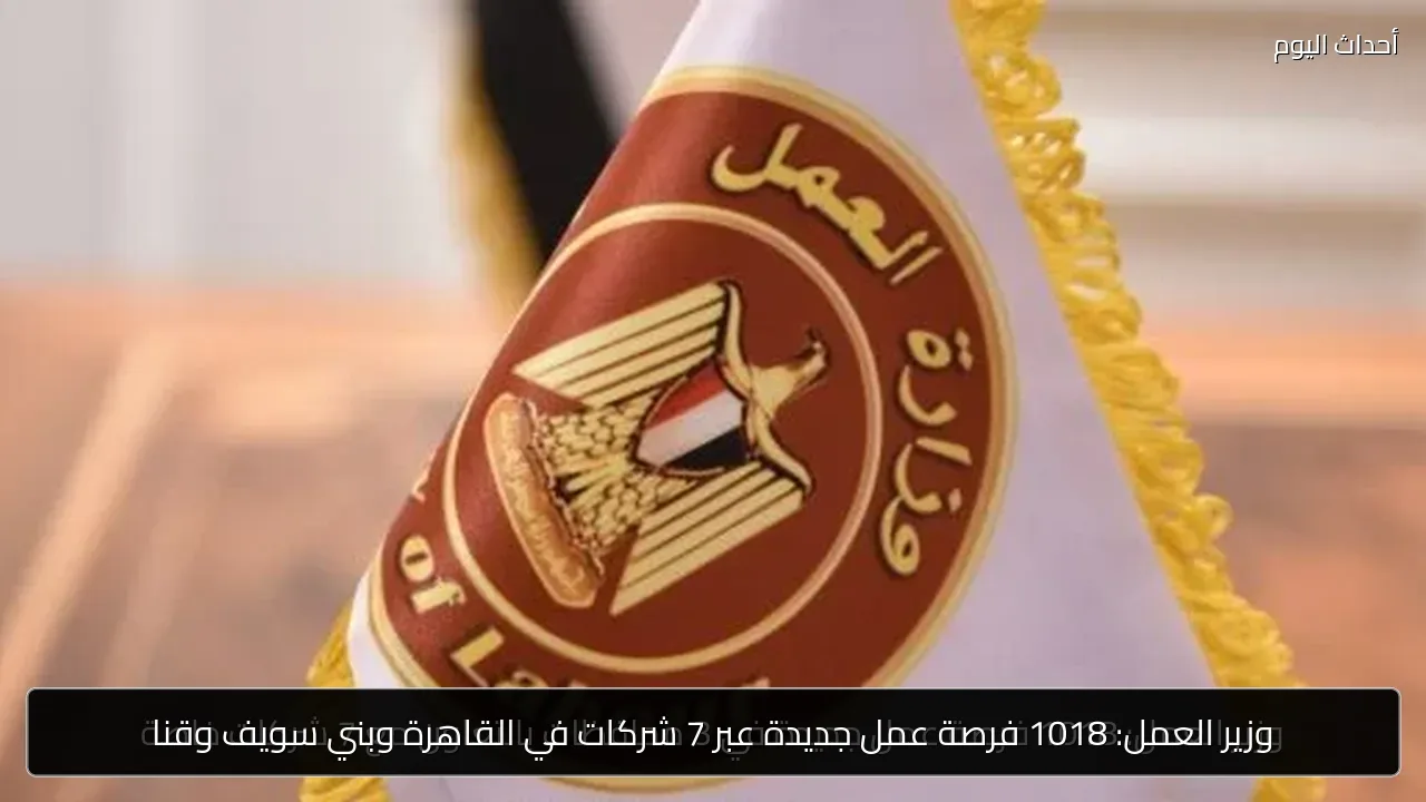 وزير العمل: 1018 فرصة عمل جديدة عبر 7 شركات في القاهرة وبني سويف وقنا
