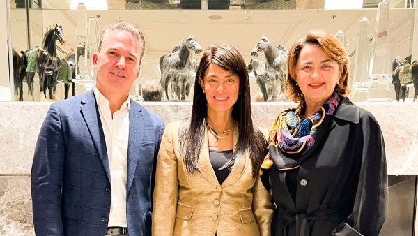 المشاط تستعرض سبل تعزيز التعاون مع منظمة الأمم المتحدة للتنمية الصناعية وصندوق الودائع والقروض الإيطالي CDP