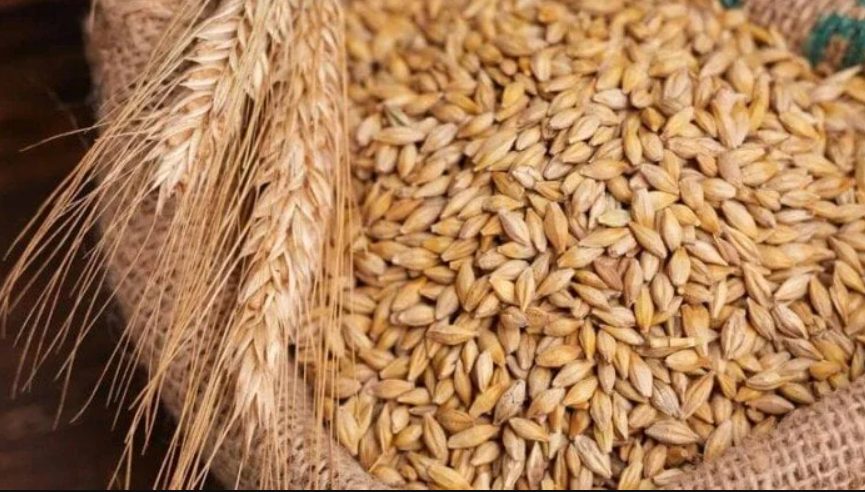 استقرار سعر طن الأرز الشعير اليوم السبت 18 أكتوبر 2025 في مصر داخل الأسواق والمحلات التجارية