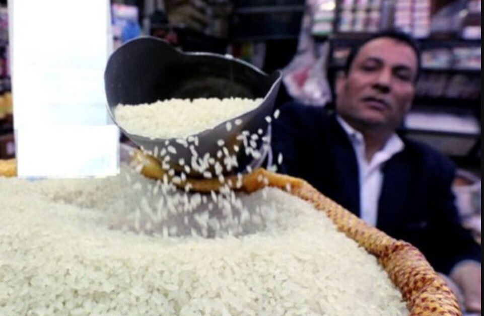 شعبة الاقتصاد تٌعلن .. سعر طن الأرز الشعير اليوم 22-10-2025 في مصر