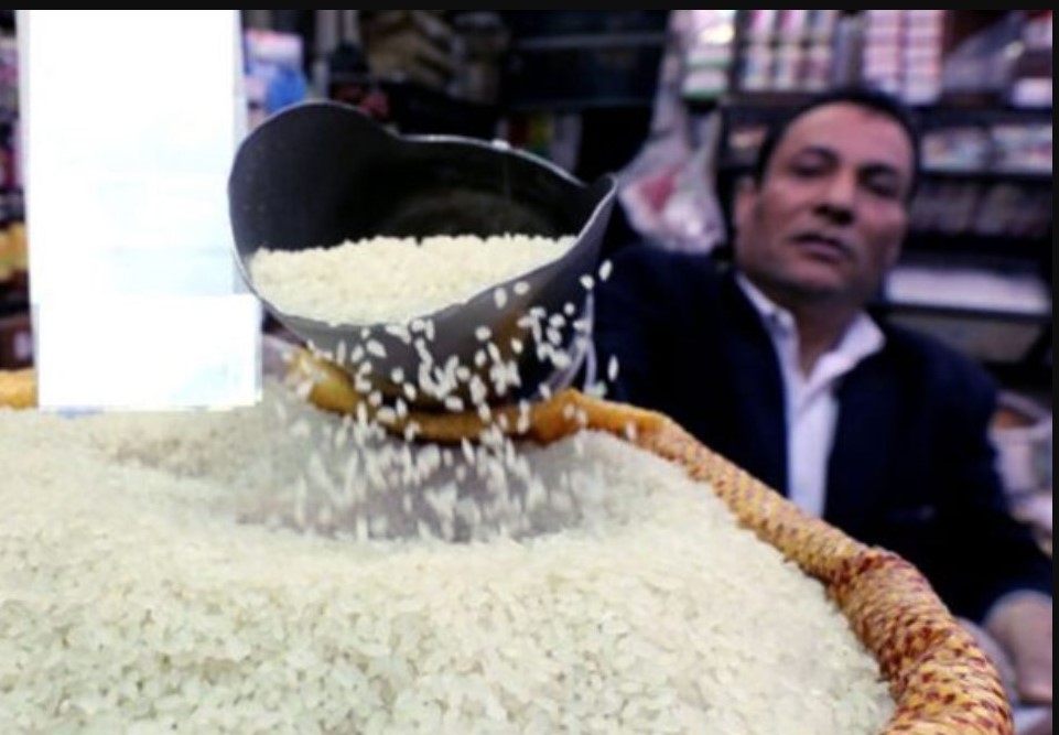شعبة الاقتصاد تٌعلن .. سعر طن الأرز الشعير اليوم 22-10-2025 في مصر