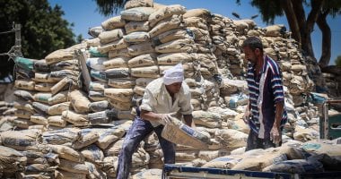 تحديث أسعار الأسمنت ليوم الجمعة 31 أكتوبر 2025: ما هو سعر الطن؟