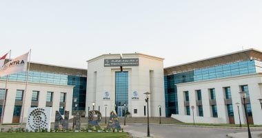 حقوقك كمستهلك: دليل شامل قبل التعاقد على خدمات شركات المحمول