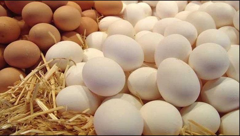 4.33 جنية دفعه واحده .. سعر البيض اليوم يرتفع بالاسواق المصرية