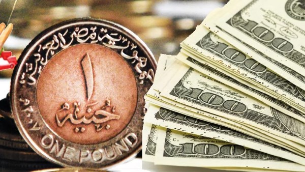 سعر الدولار الأمريكي مقابل الجنيه المصري في البنوك اليوم الثلاثاء