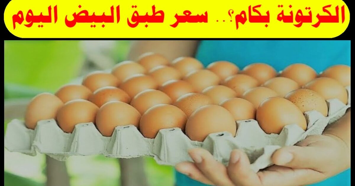اخر تحديث .. سعر كرتونة البيض اليوم الاحد 19-10-2025 في الأسواق التجارية والمزرعة