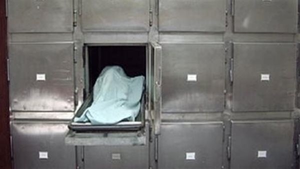 شاب يفقد حياته في حادث تصادم بين سيارة ملاكي وأخرى نقل في الدقهلية