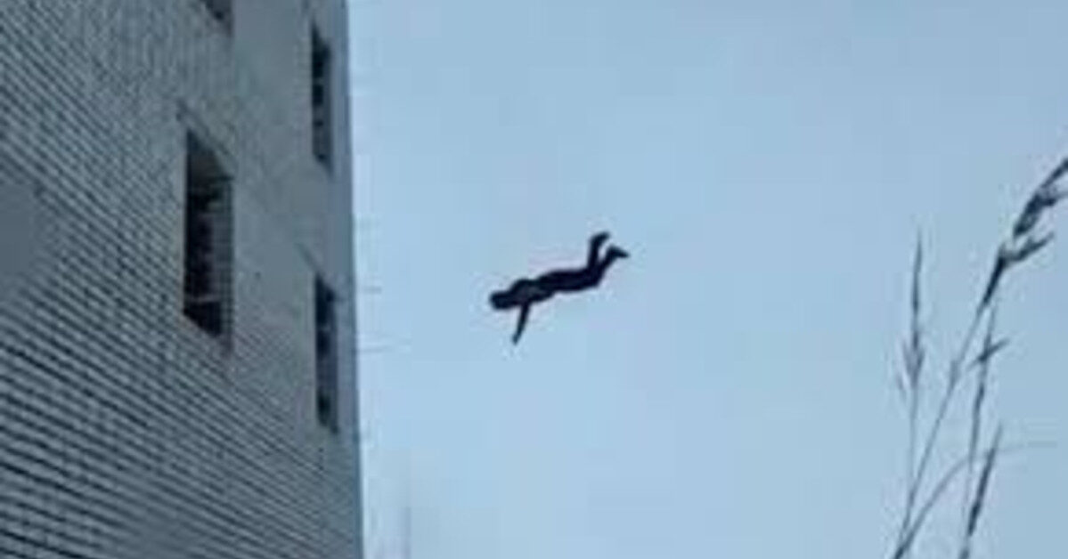 عامل محارة يفقد حياته بعد سقوطه من الطابق الرابع في الطالبية