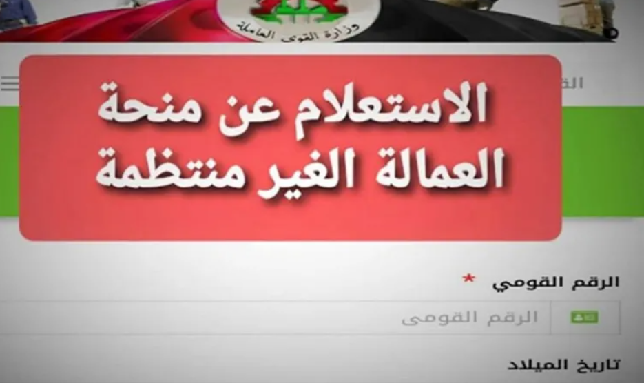 الاستعلام عن منحة العمالة الغير منتظمة 2025 بالرقم القومي عبر موقع القوى العاملة