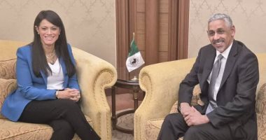 وزيرة التخطيط تلتقي برئيس بنك التنمية الأفريقي لمناقشة سبل التعاون الاقتصادي