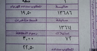 كيفية الاستعلام عن فاتورة الكهرباء إلكترونيًا بفعالية