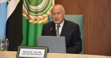 أبو الغيط يوجه بتأسيس لجنة من جامعة الدول العربية لمراقبة انتخابات مجلس النواب